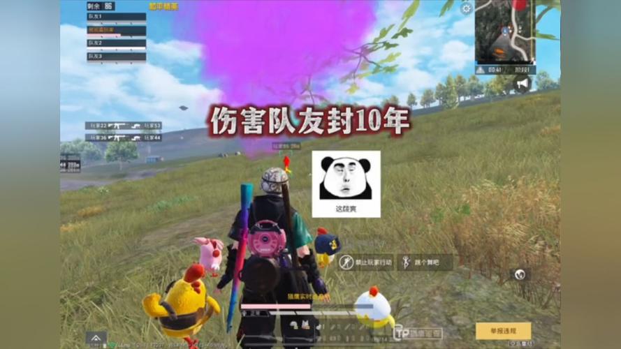 和平【涂山红红】辅助轻便直装工具，重现丝滑畅快体验