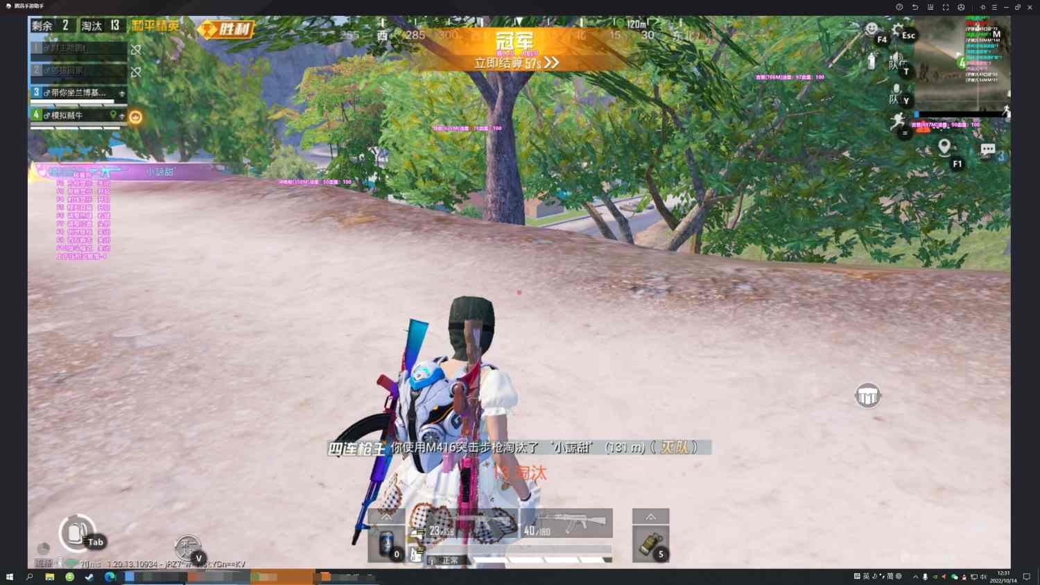 和平精英《诛仙》辅助