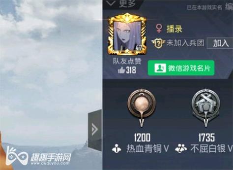 和平精英开挂购买网站